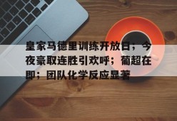 皇家马德里训练开放日；今夜豪取连胜引欢呼；葡超在即；团队化学反应显著的简单介绍-九游